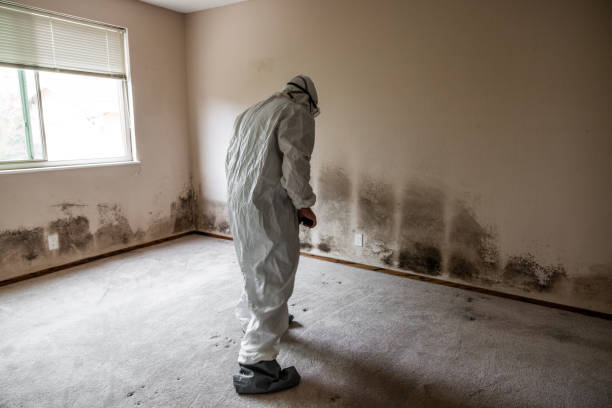 Forensic Mold Investigation in Grand Forks, ND